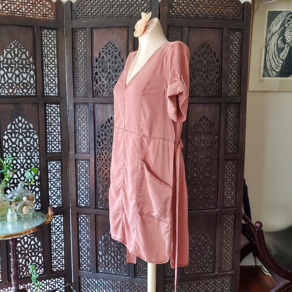 Pilcro and the Letterpress pink Lyocell dress - Picture 6 of 16